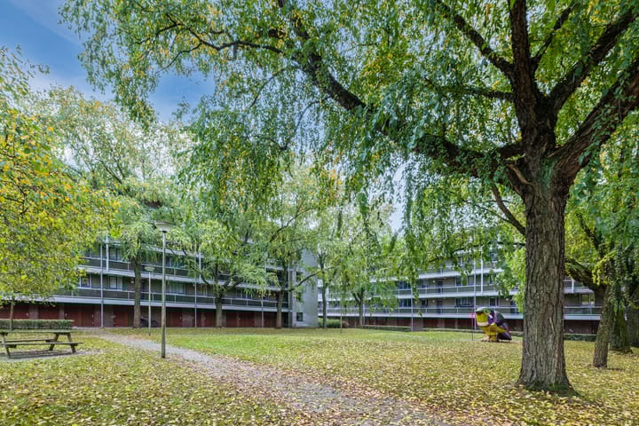 Foto 2 van Zangvogelweg 279