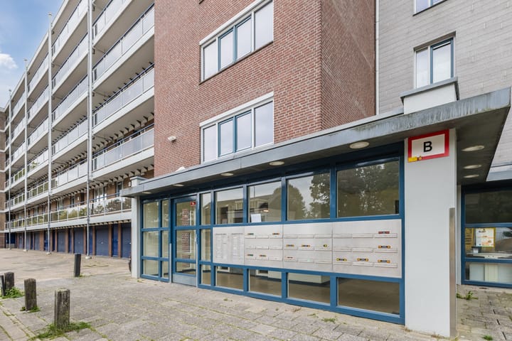 Foto 5 van Zangvogelweg 279