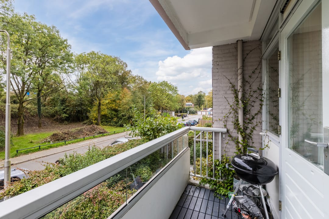 Foto 38 van Zangvogelweg 279