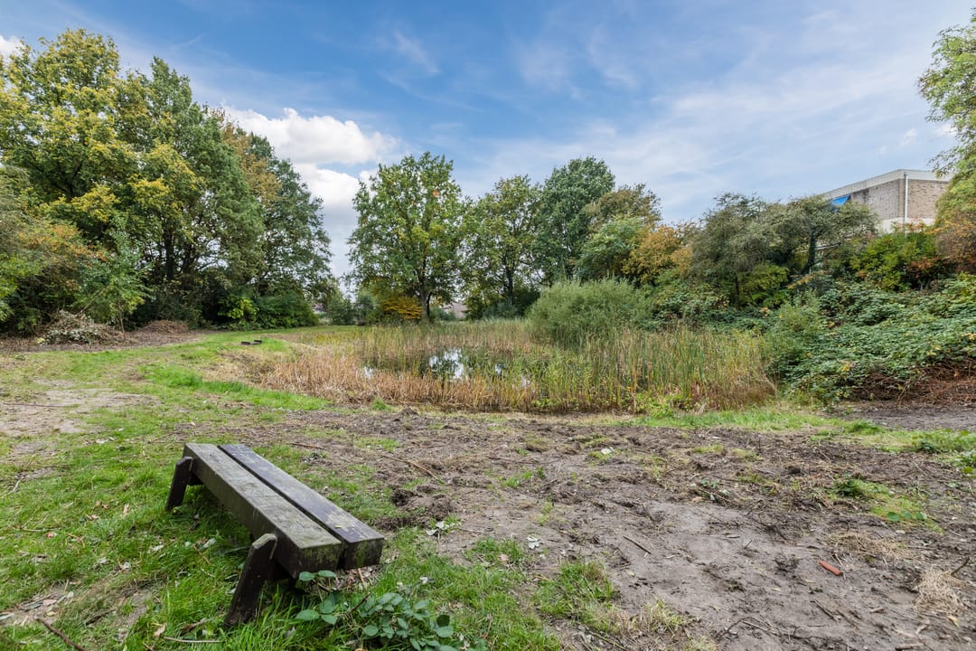 Foto 47 van Zangvogelweg 279