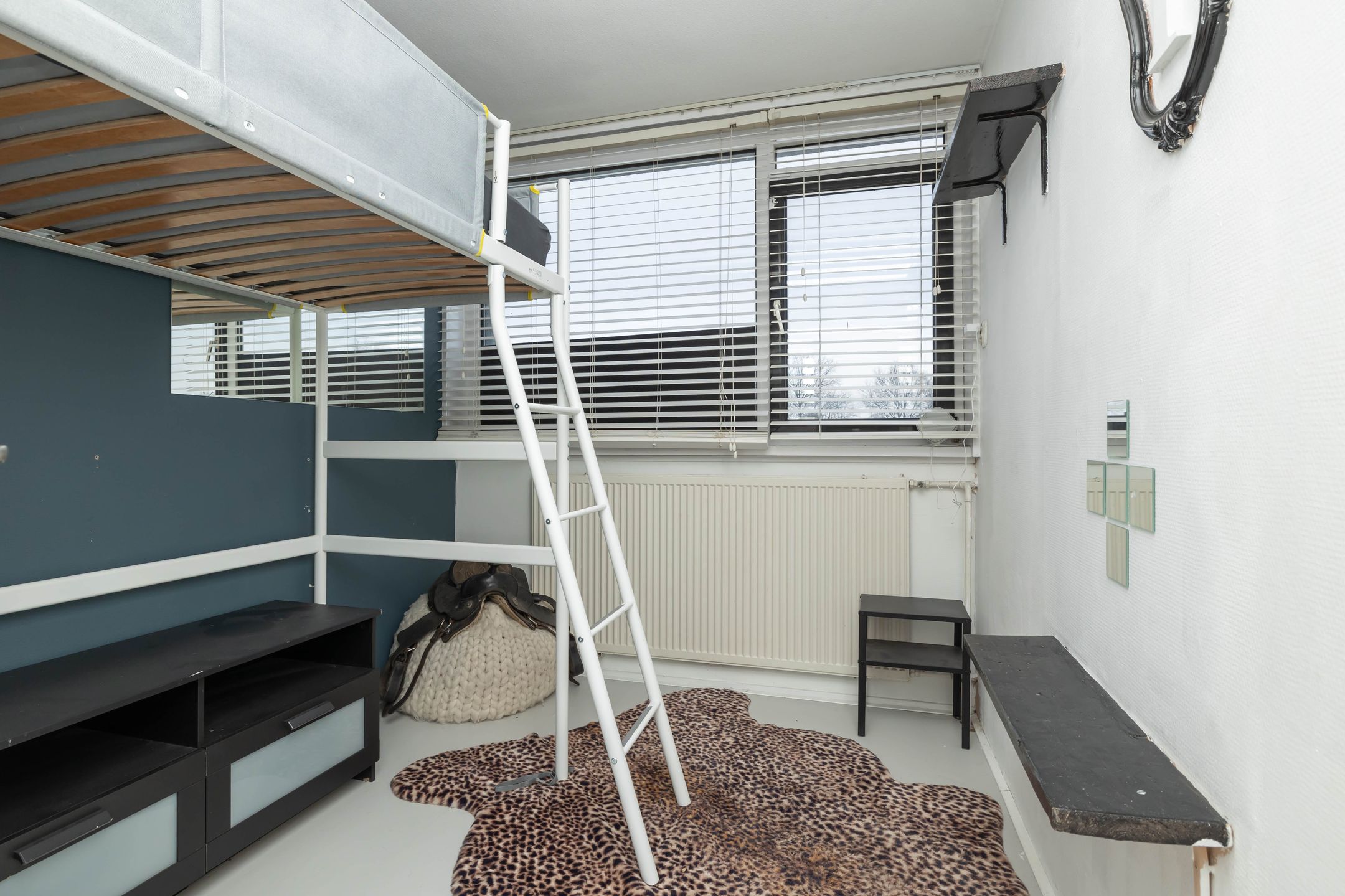 Foto 30 van Begoniastraat 29