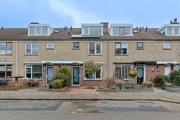 Foto 5 van De Halve Roe 87