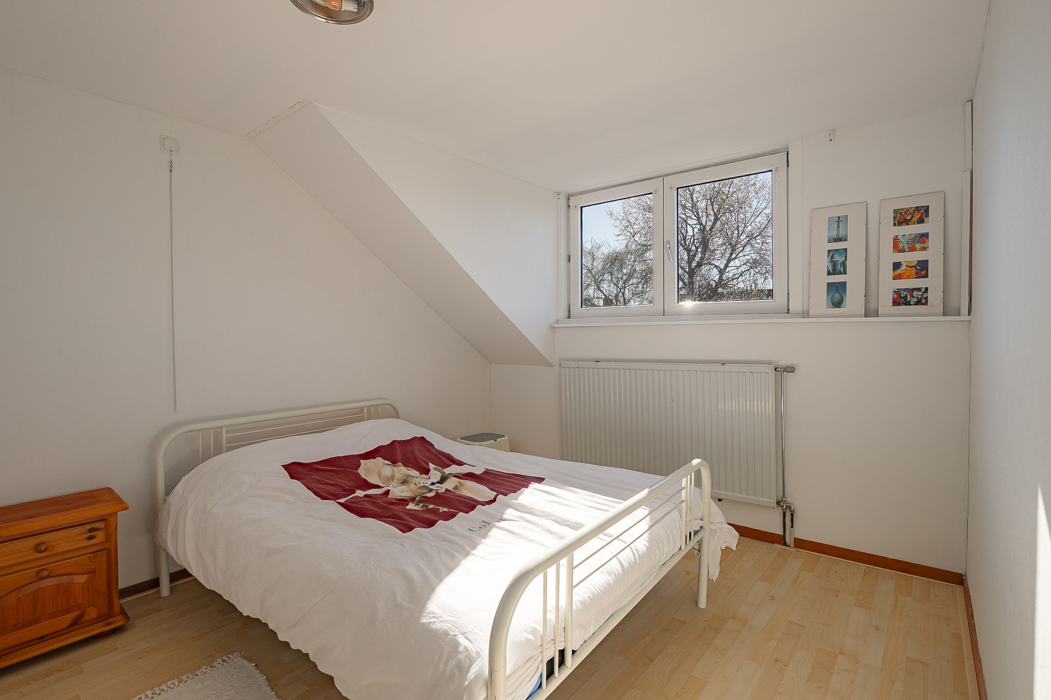 Foto 15 van Weegbree 14