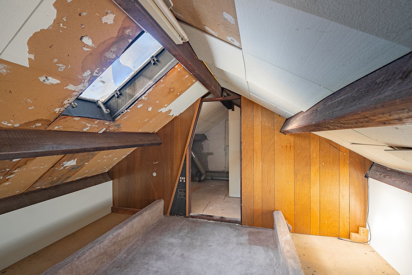 Foto 19 van Weegbree 14