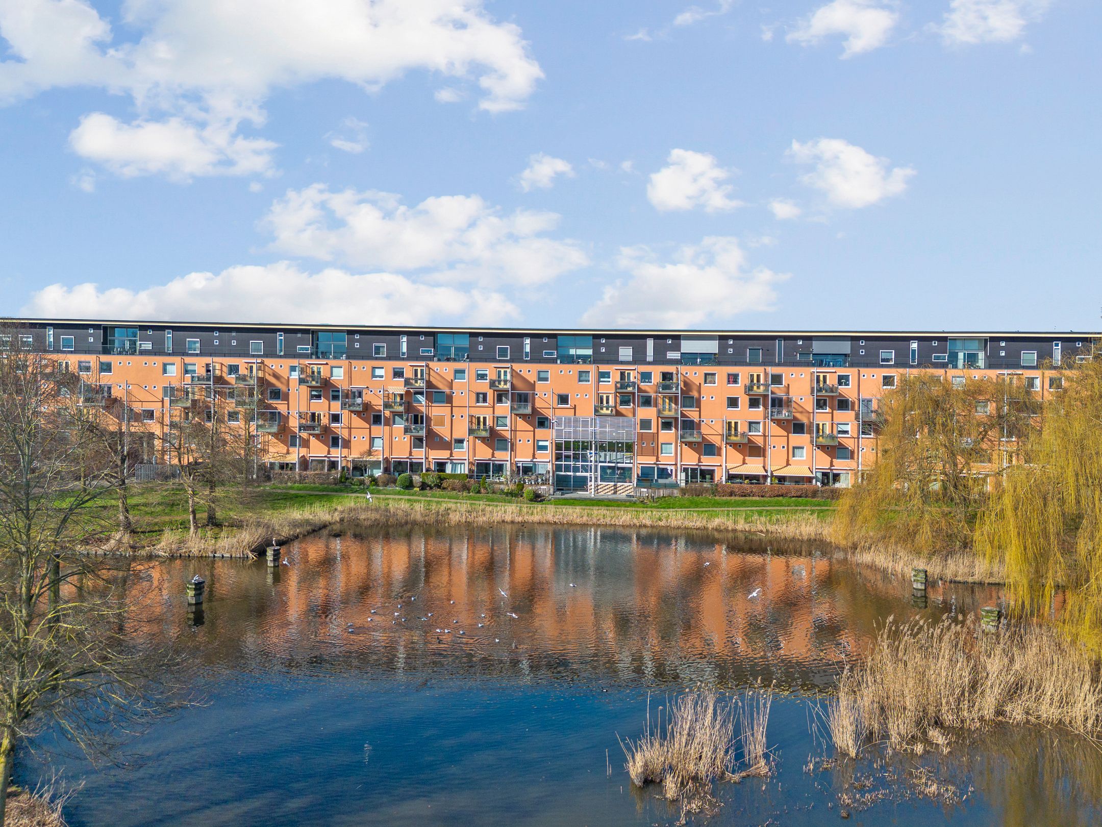 Photo 6 of Louis Davidsstraat 170