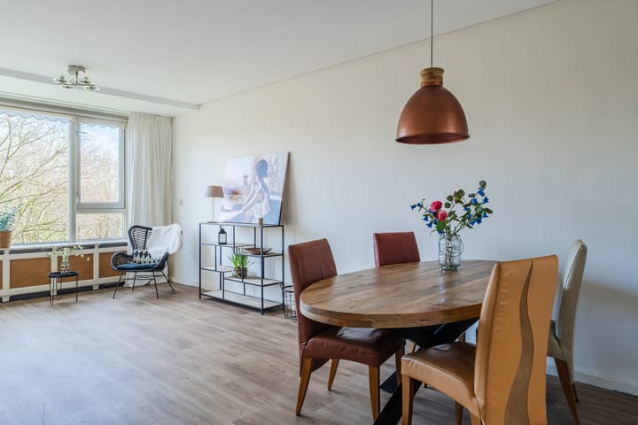 Foto 3 van Livingstonelaan 726