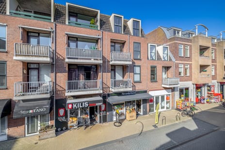 Hortuslaan thumbnail