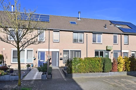 undefined main image