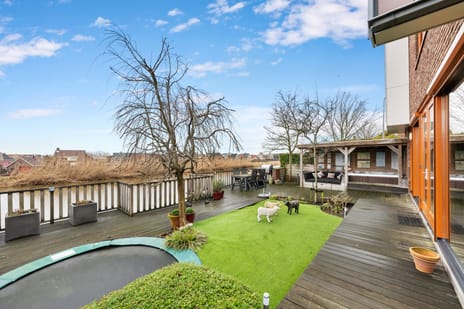 Dieze 41 secondary image