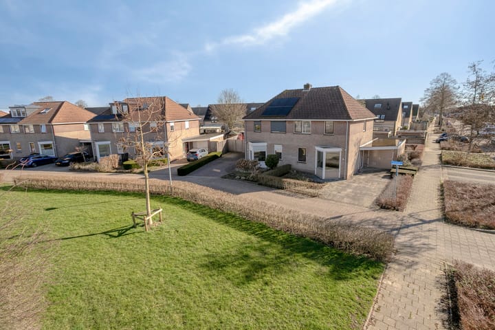 Foto 2 van Suikerpeer 29