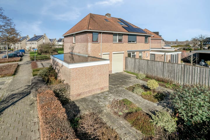 Foto 3 van Suikerpeer 29