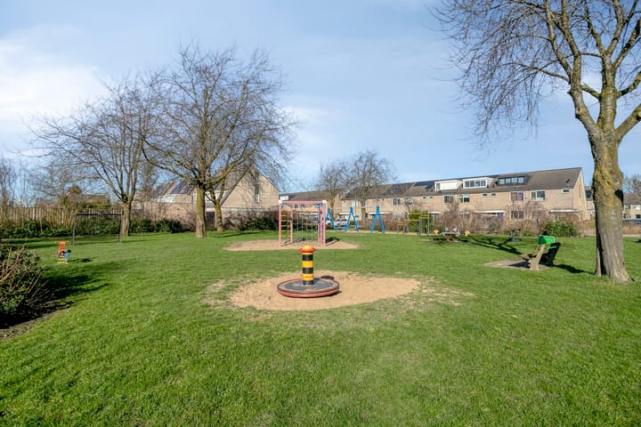 Foto 4 van Suikerpeer 29