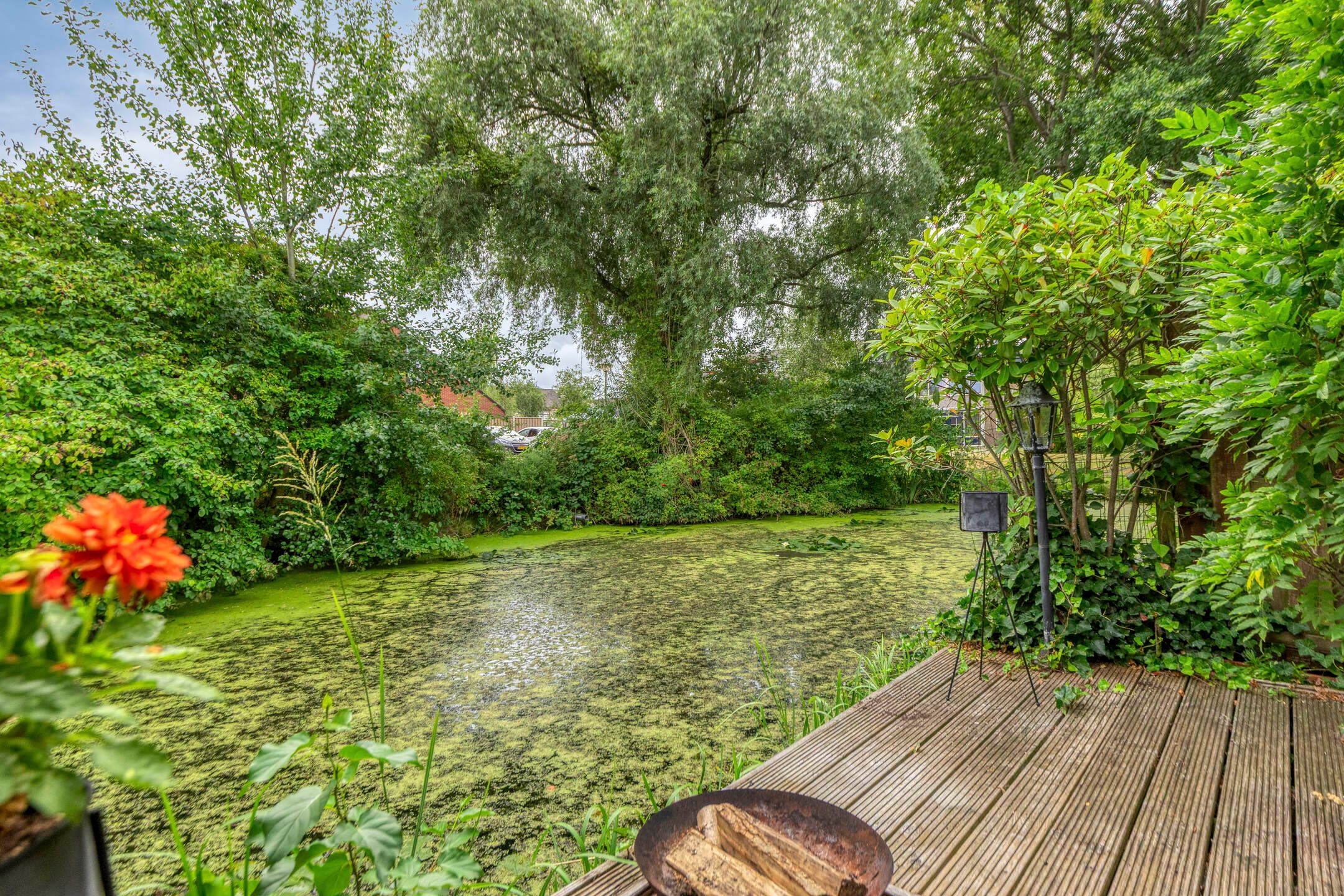 Foto 39 van Kamgras 104