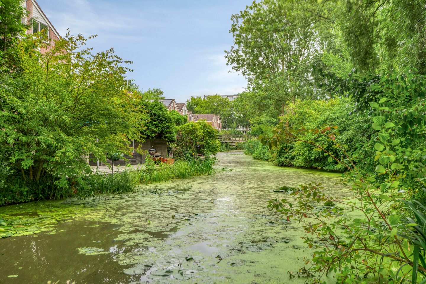 Foto 40 van Kamgras 104