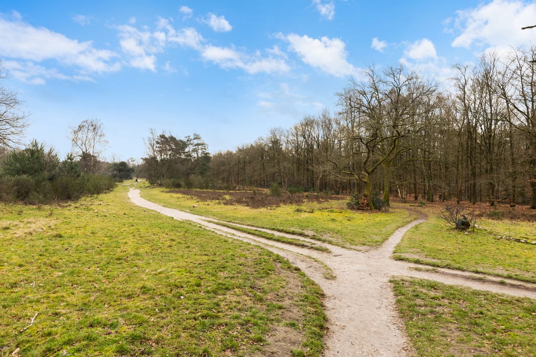 Foto 2 van Banckertlaan 325