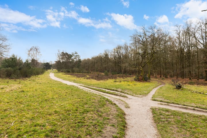 Foto 2 van Banckertlaan 325