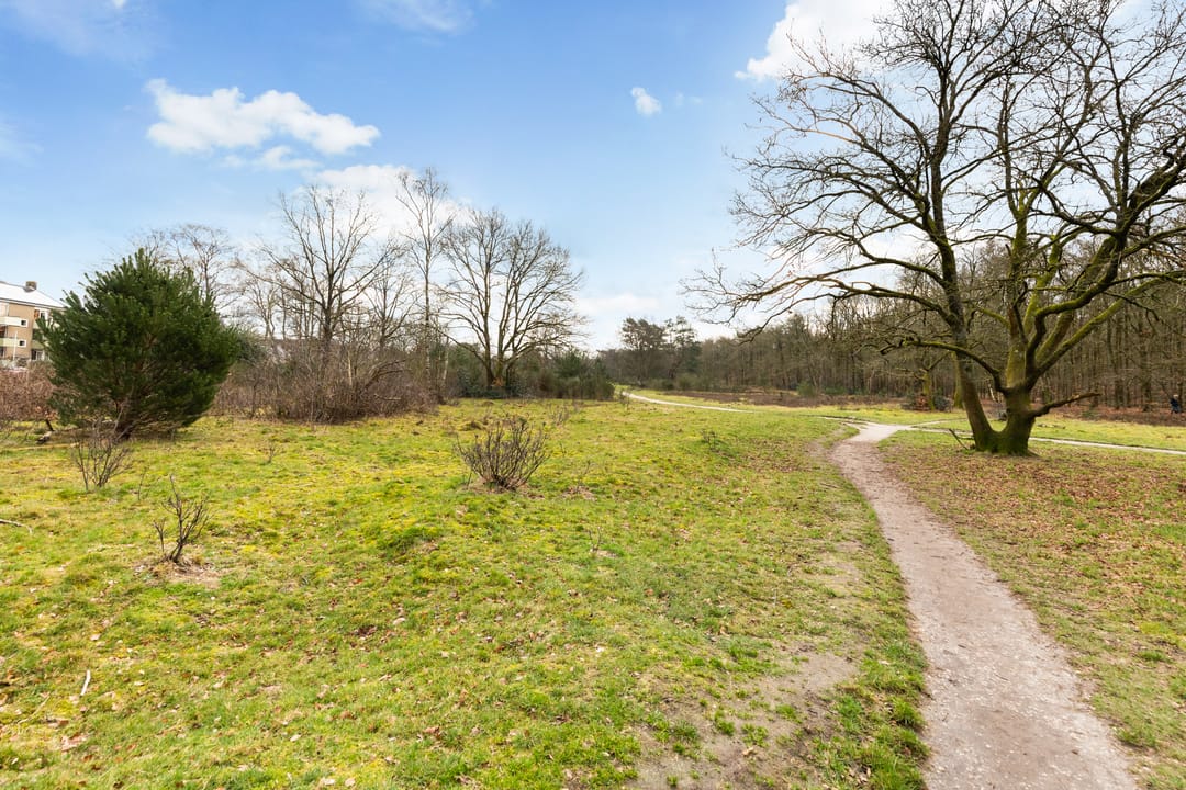 Foto 26 van Banckertlaan 325