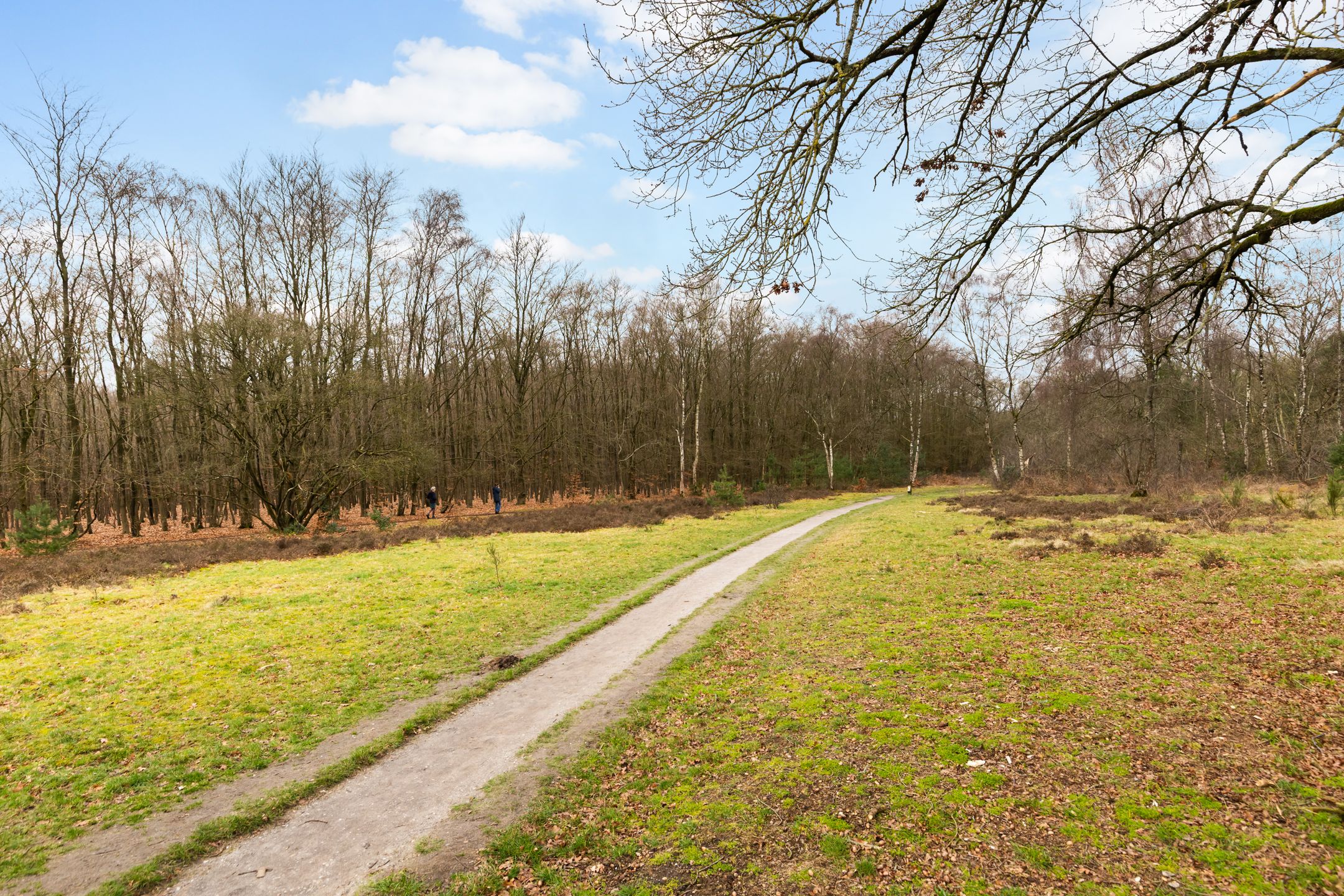 Foto 27 van Banckertlaan 325