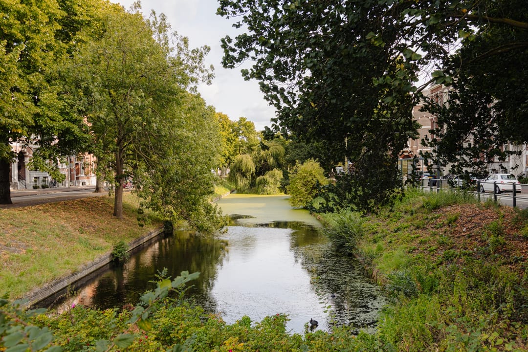 Foto 76 van Groot Hertoginnelaan 101