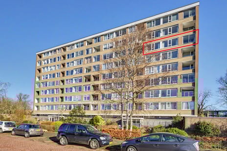 Jan van Goyenstraat thumbnail