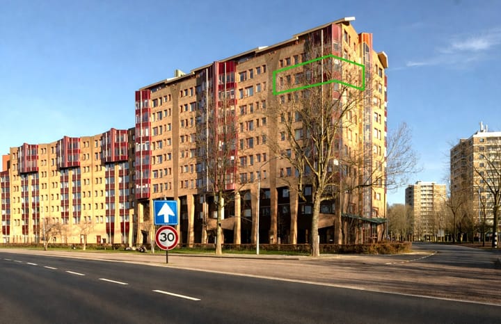 Leonard Springerlaan 111