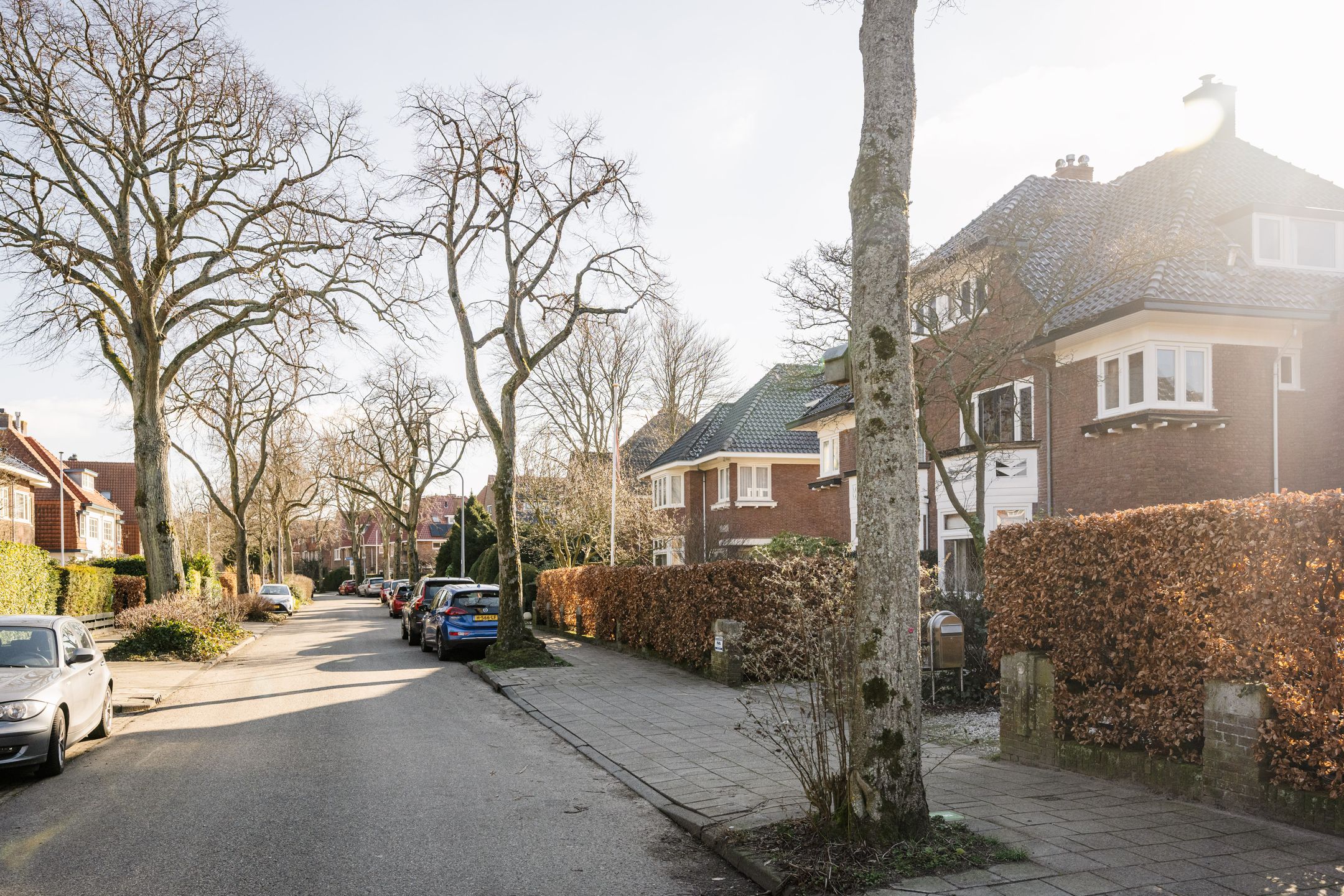 Foto 6 van Dahlialaan 30