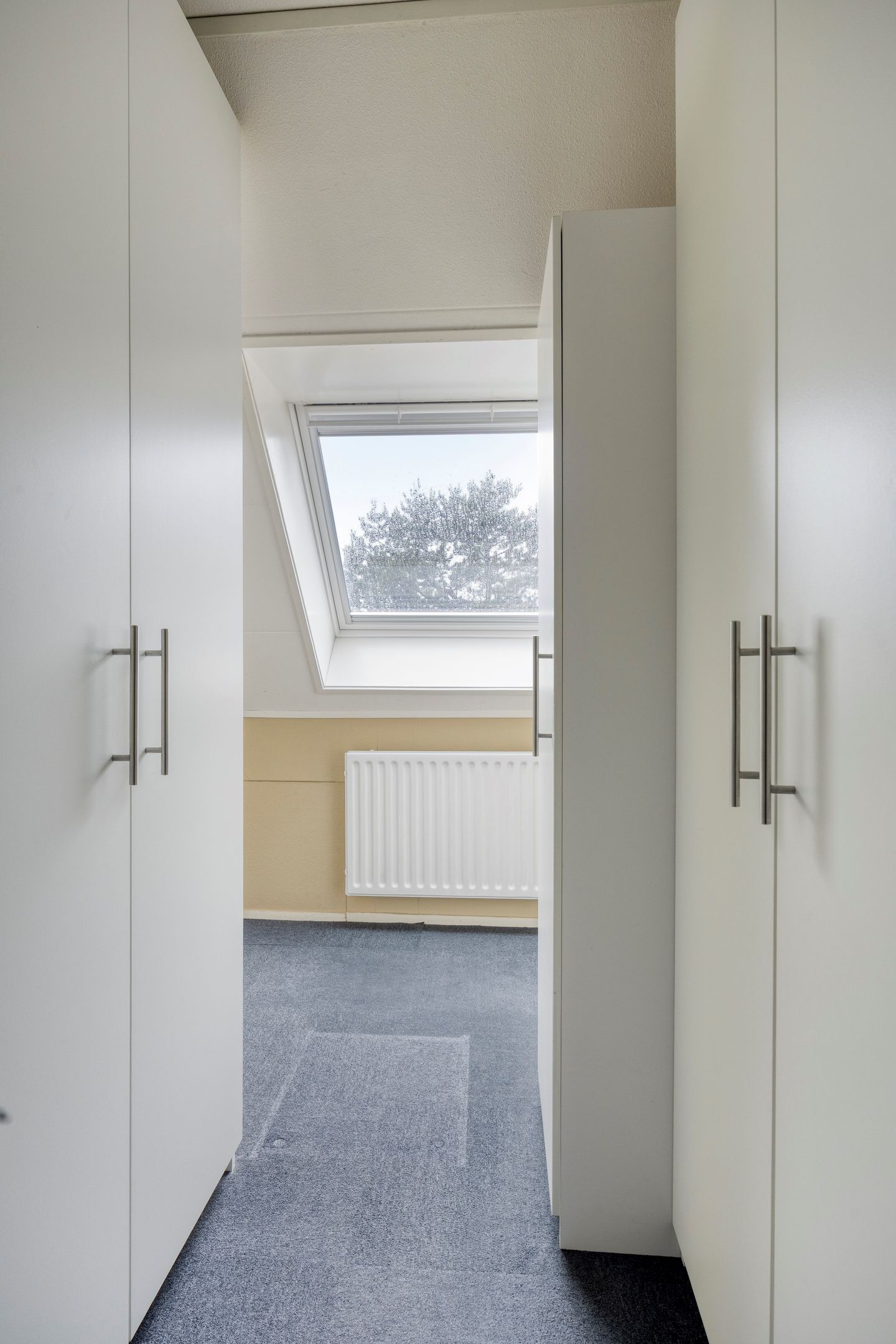 Foto 36 van Hoefslag 50