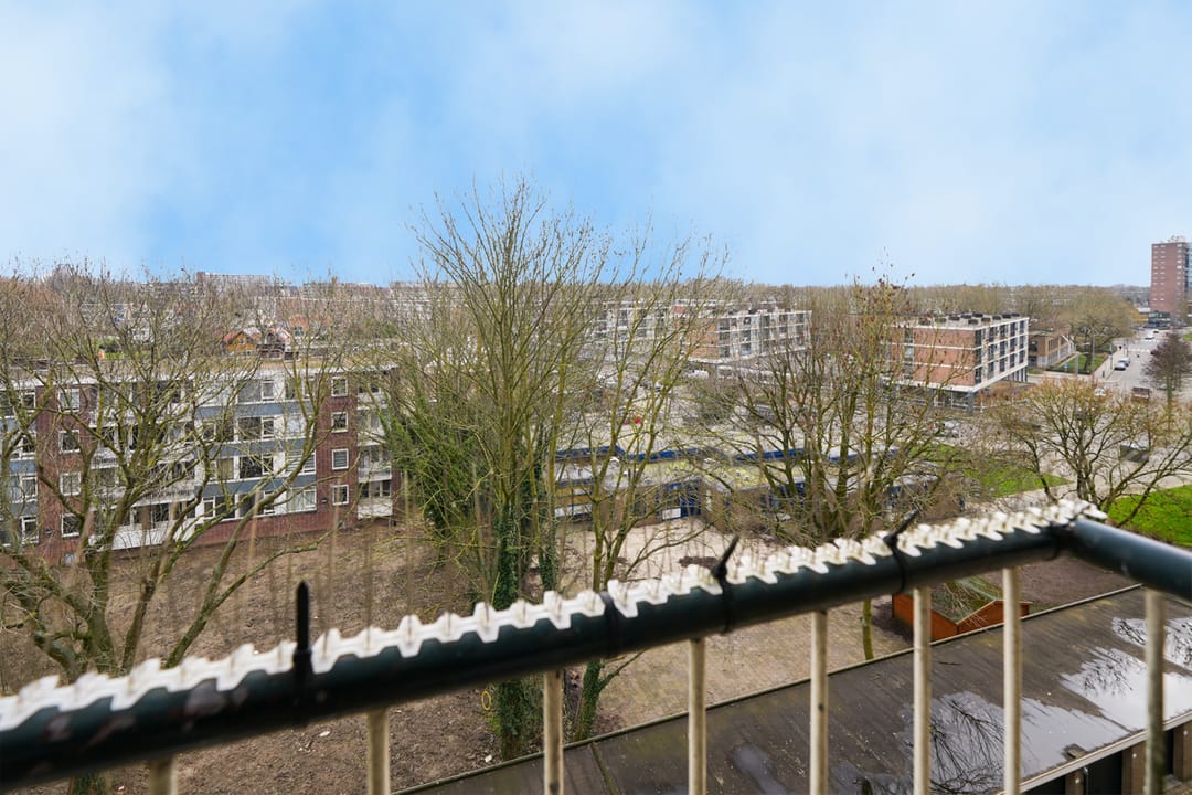 Foto 23 van Molenvliet 72