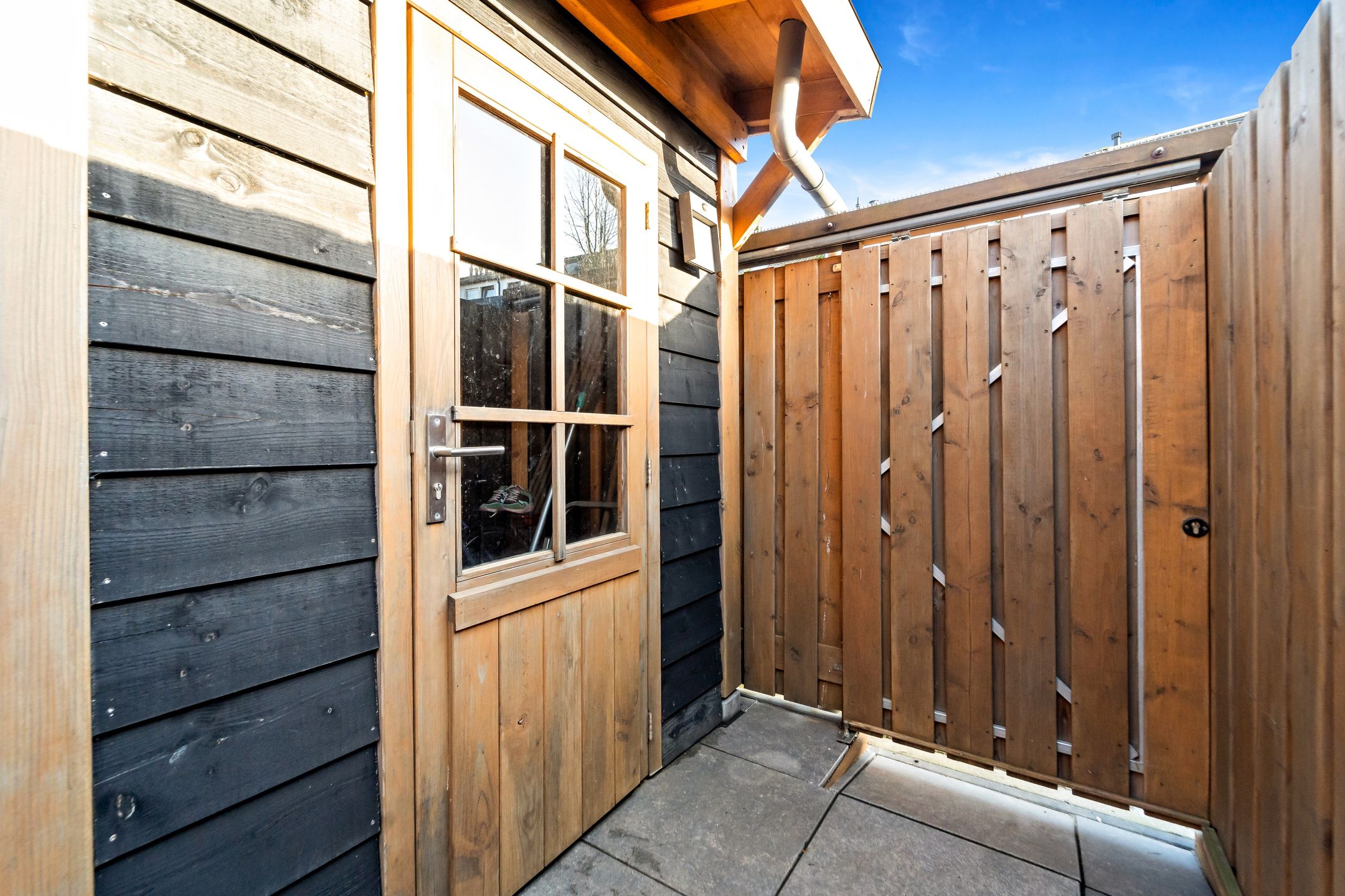 Photo 18 of Schouw 49