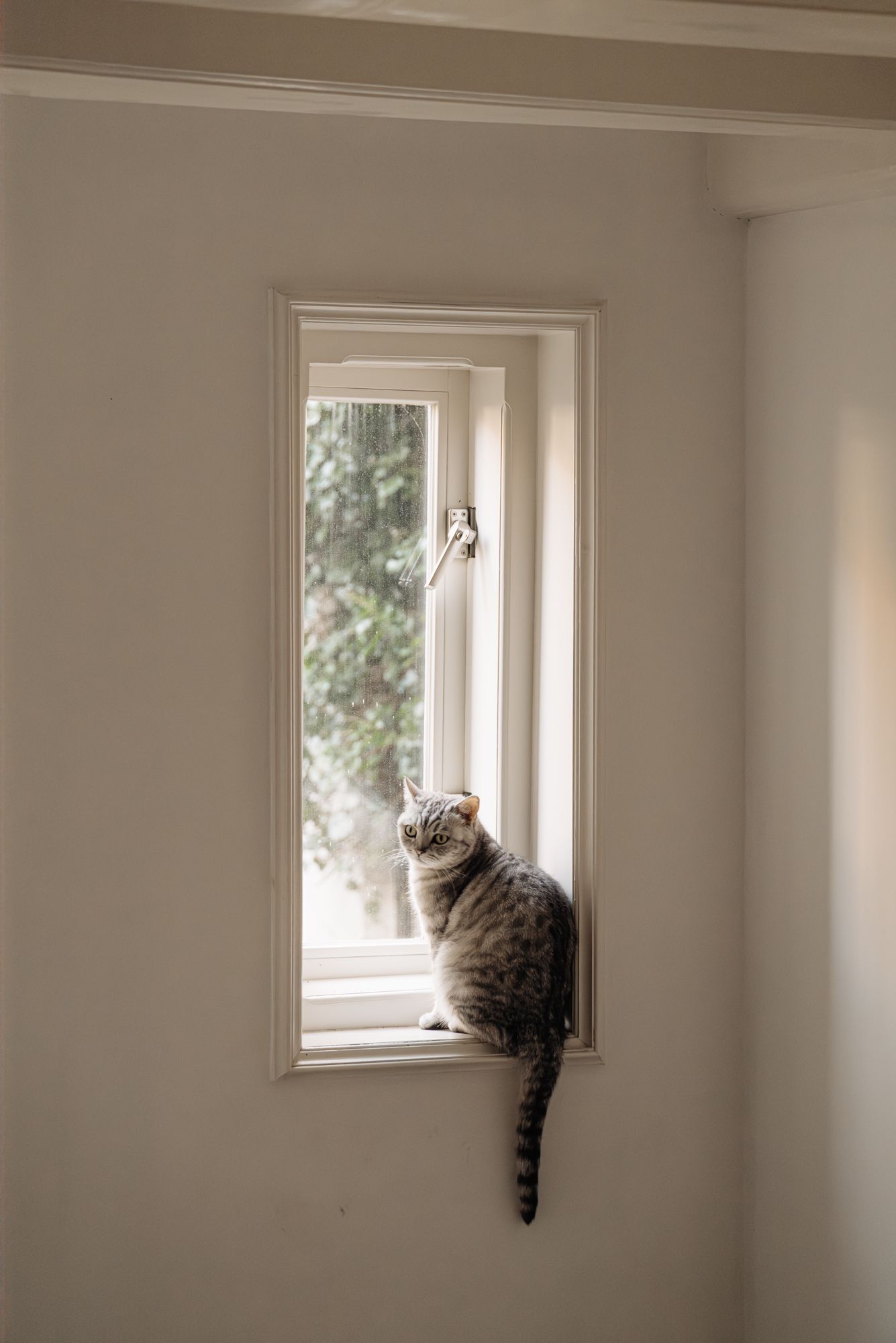 Foto 25 van Herengracht 553-H