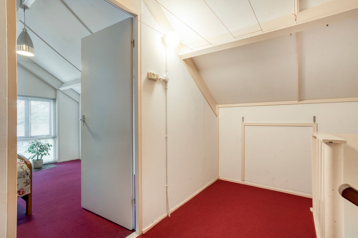 Foto 35 van de Haar 57