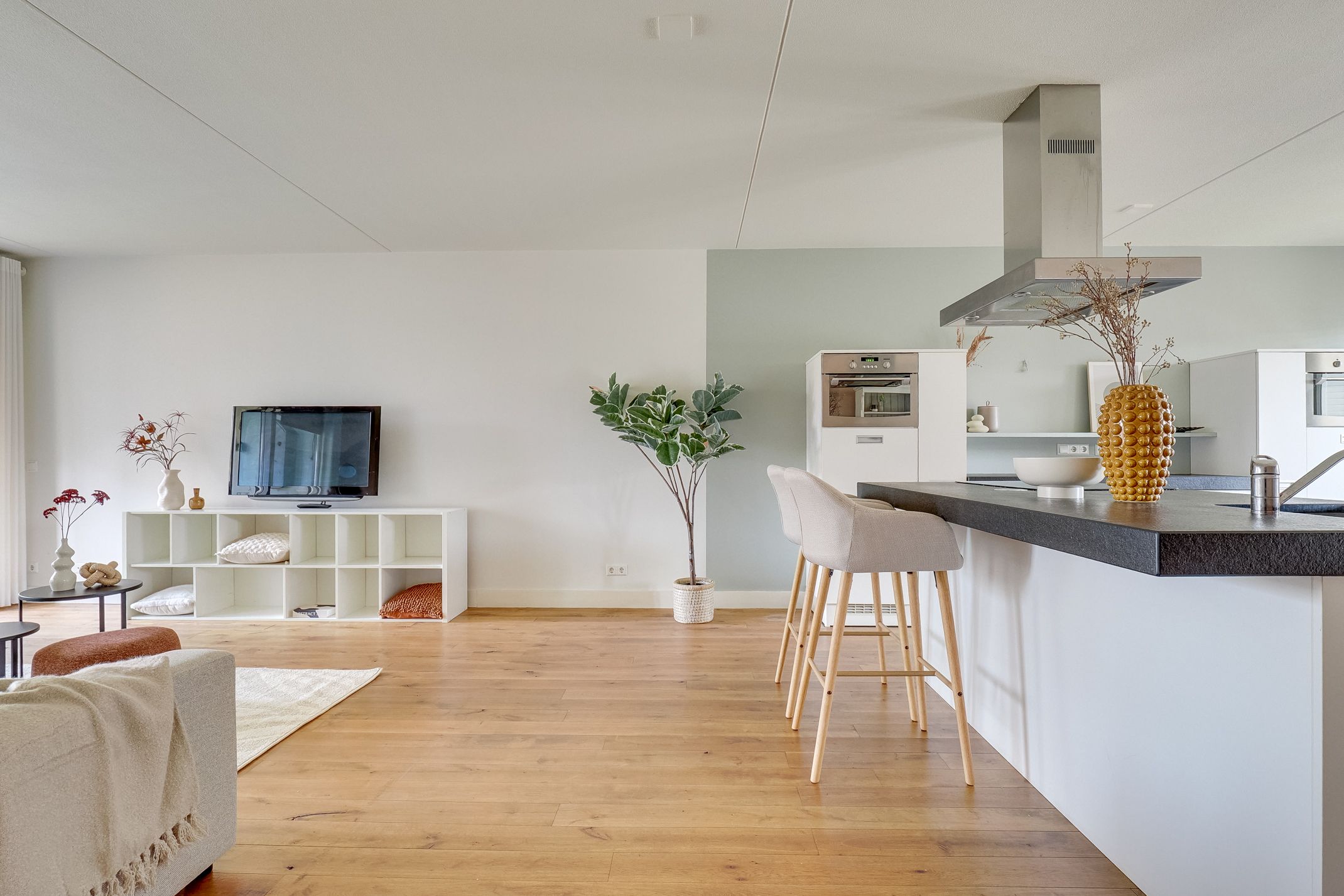 Foto 6 van Voorsterbeeklaan 120