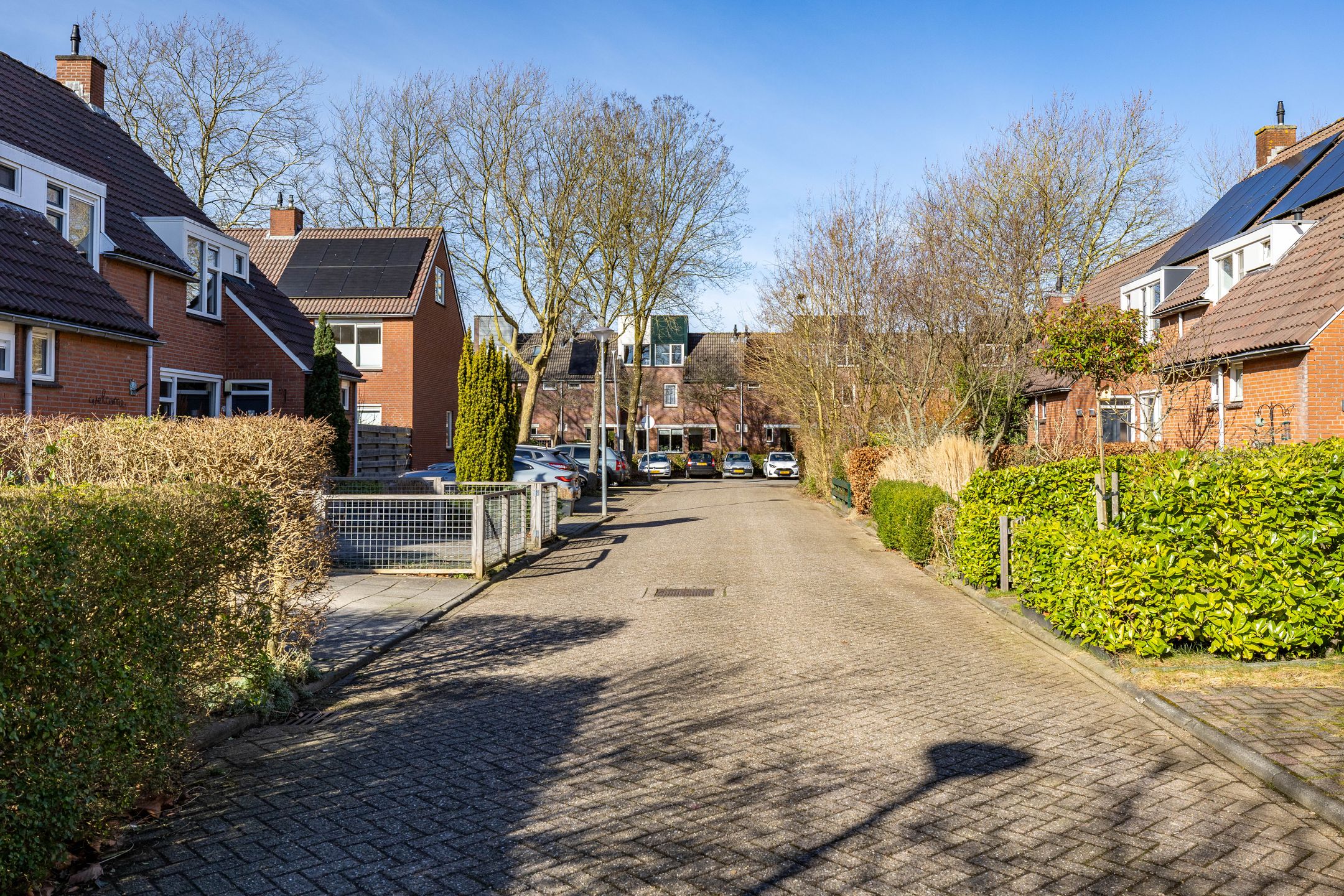 Photo 54 of Sibrandaheerd 74