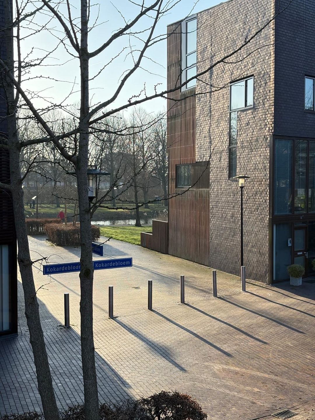 Photo 16 of Klokjesbloem 13