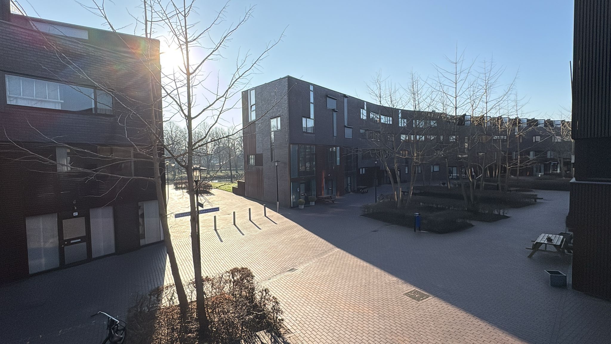 Photo 15 of Klokjesbloem 13