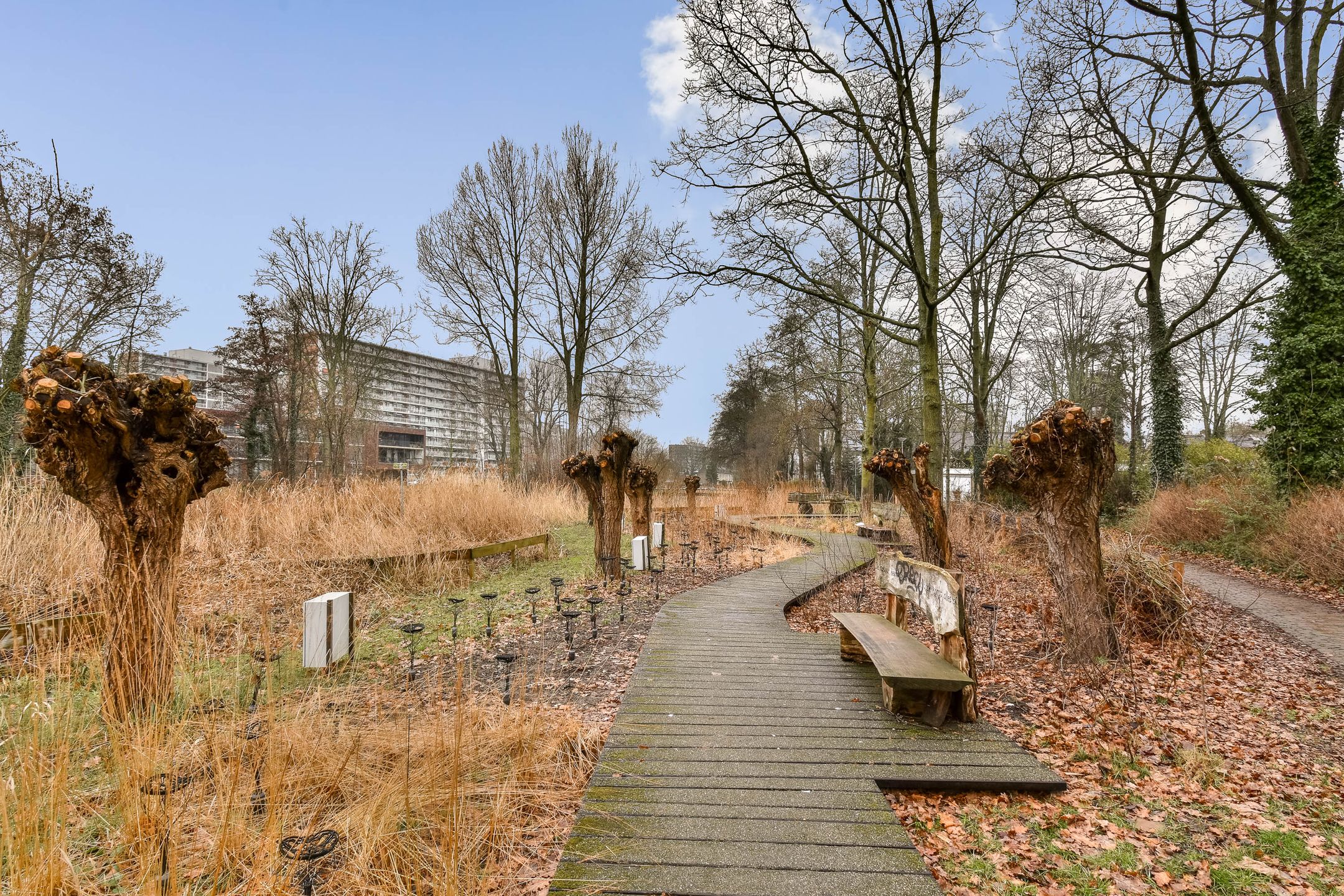 Foto 18 van Quadenoord 278