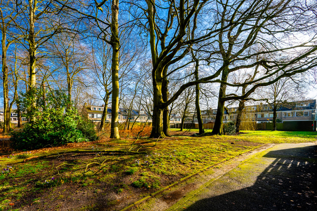 Photo 38 of Nijenheim 1122