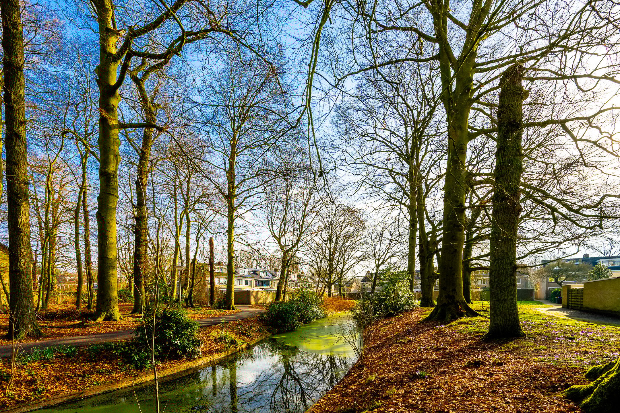 Photo 39 of Nijenheim 1122