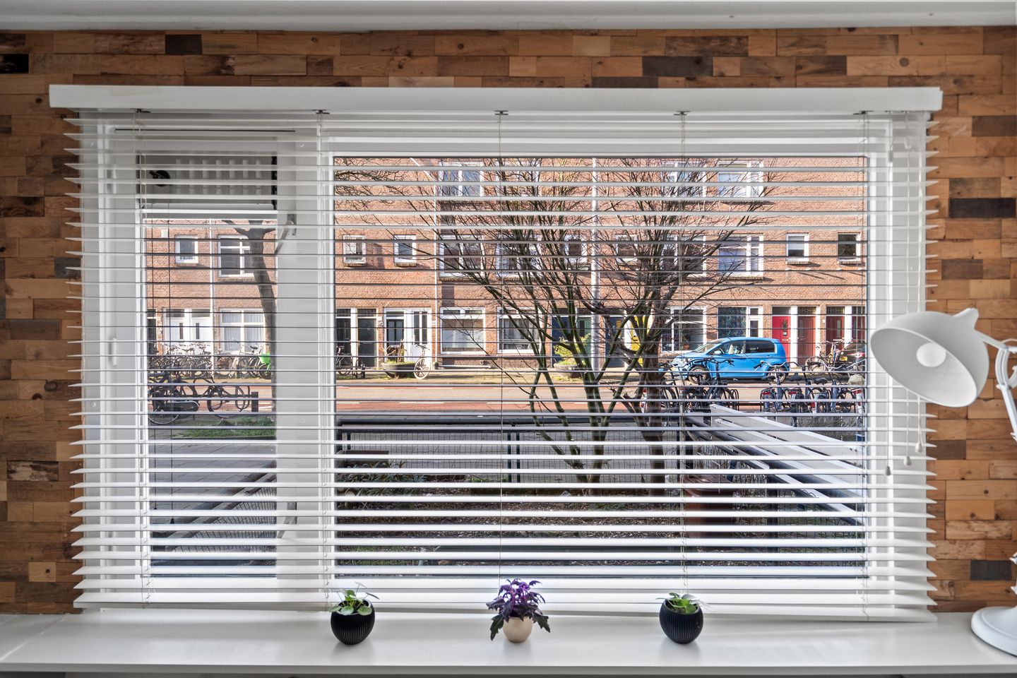 Foto 10 van Laan van Nieuw-Guinea 121