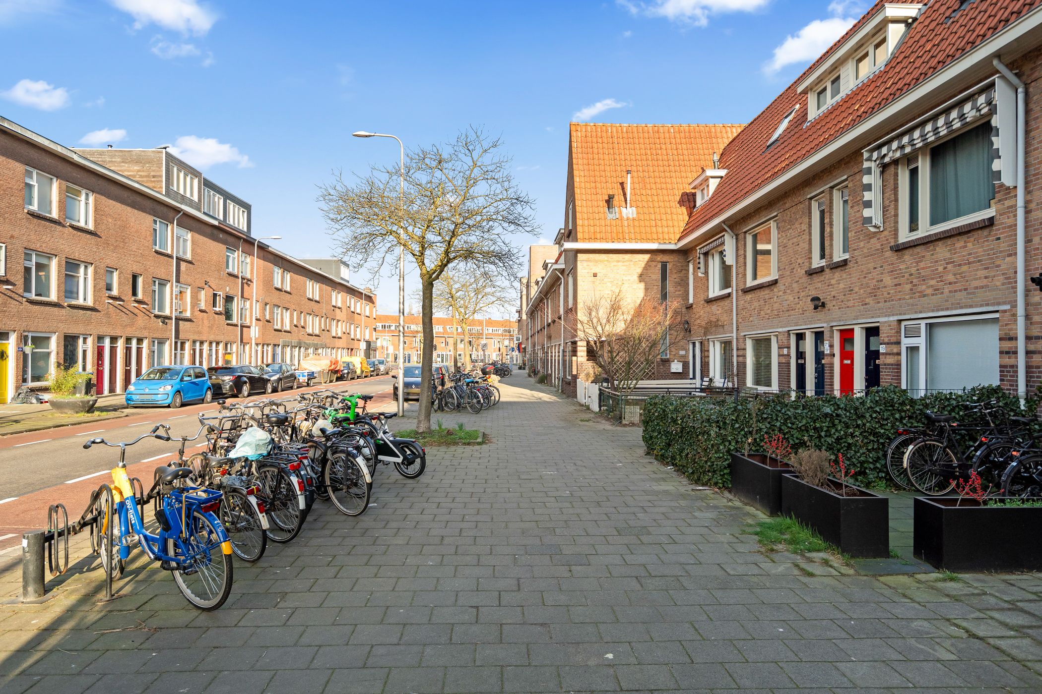 Foto 24 van Laan van Nieuw-Guinea 121