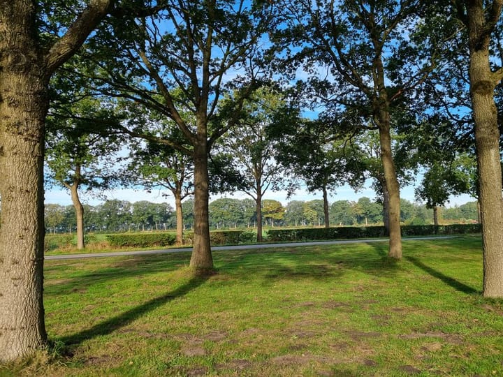 Foto 4 van Commissieweg 31