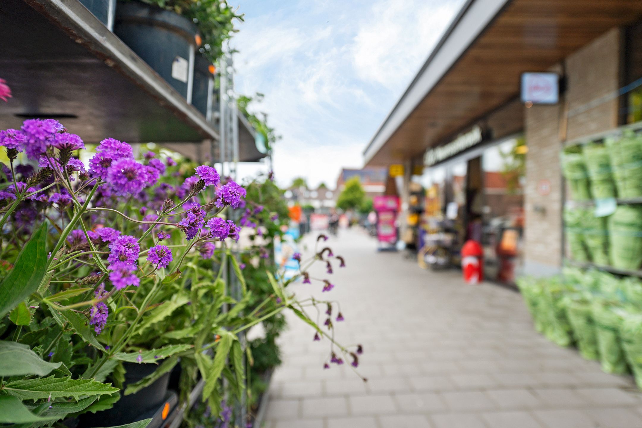 Foto 27 van Zwanenkamp 451