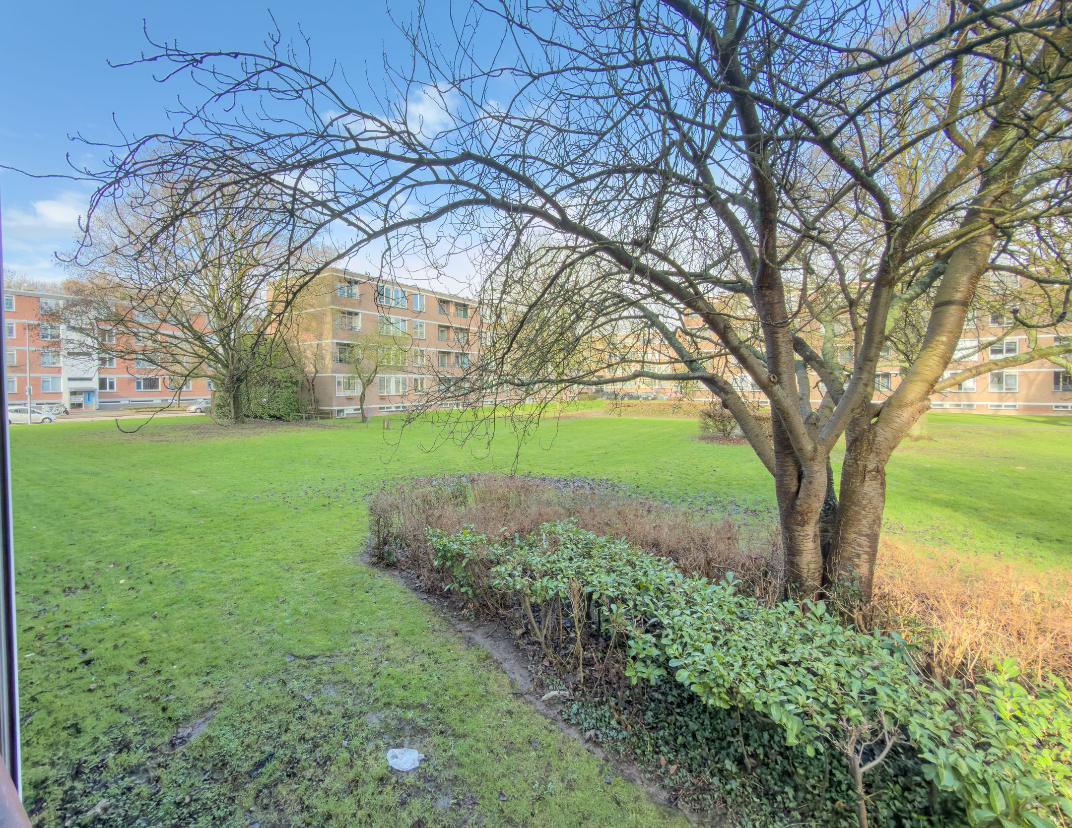 Foto 9 van Wilbertoord 138