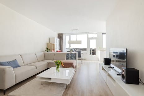 Zadkinerade thumbnail