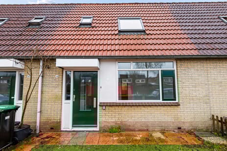 undefined main image