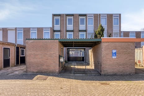 undefined main image