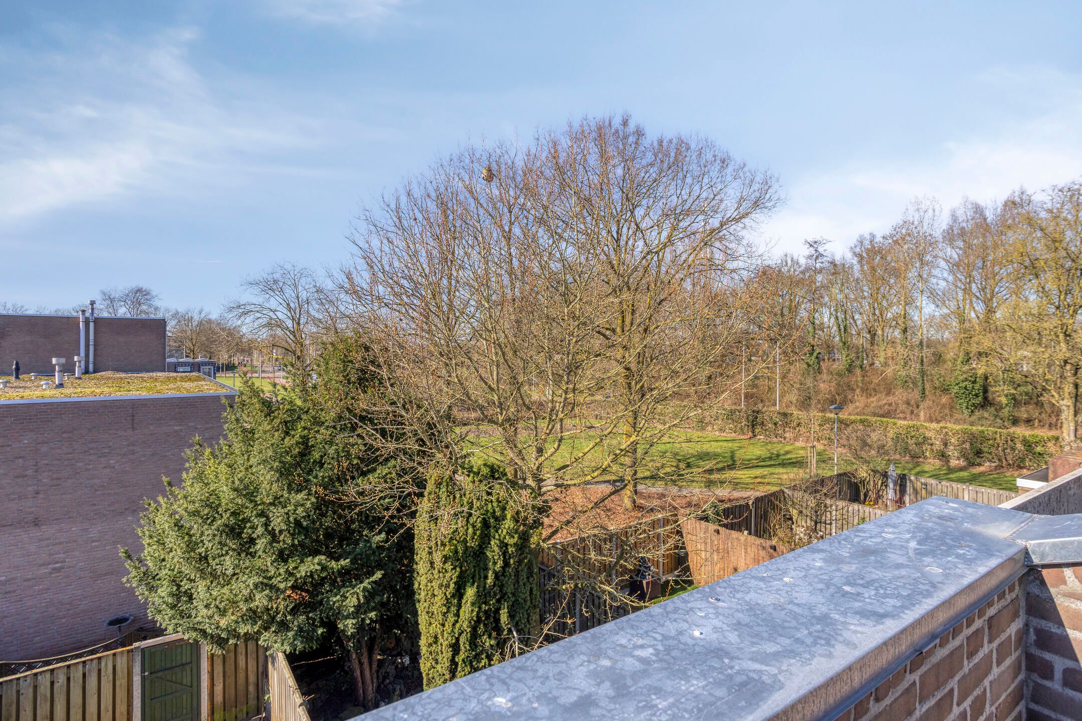 Foto 33 van Rogstraat 9