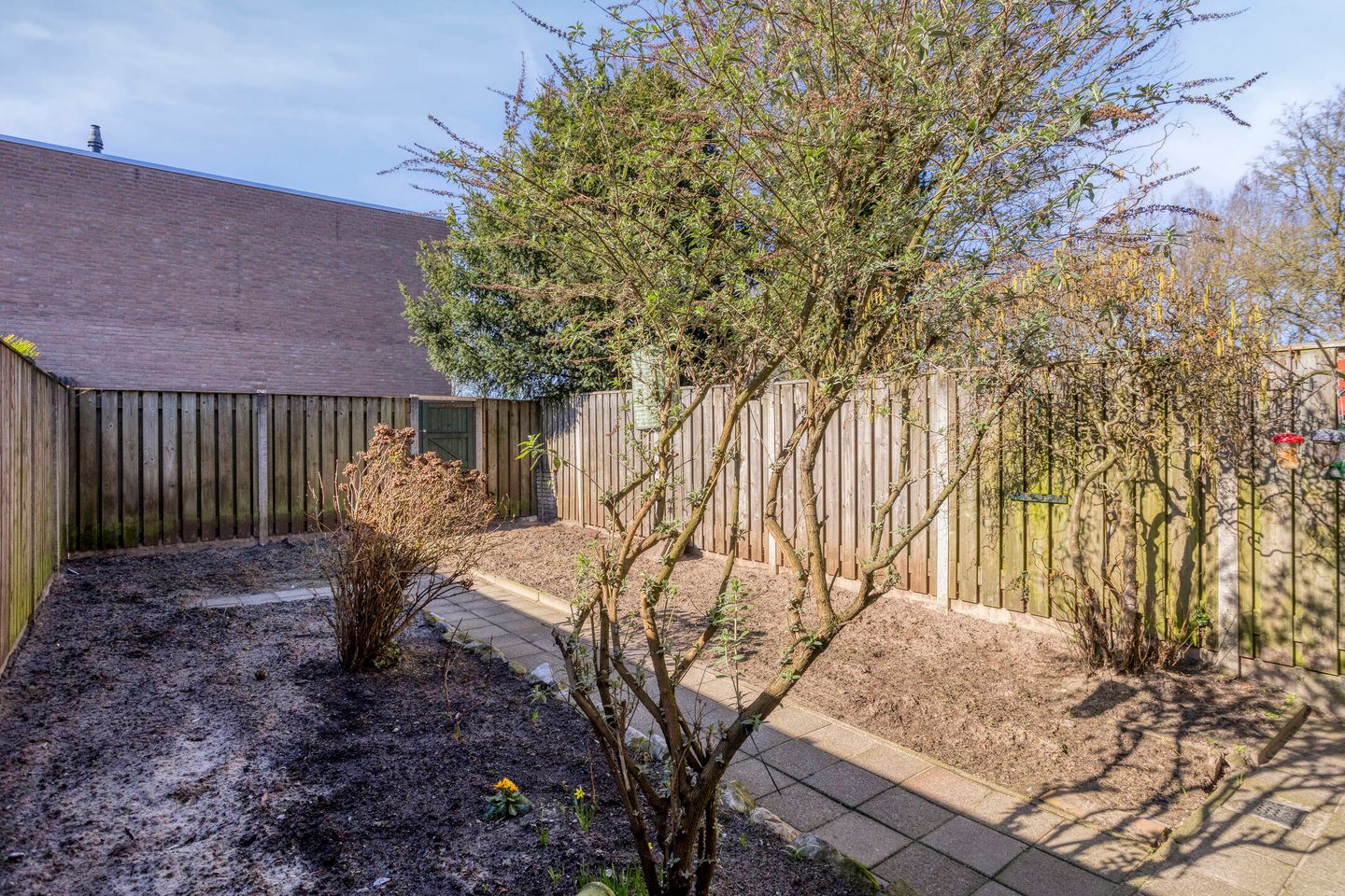 Foto 35 van Rogstraat 9