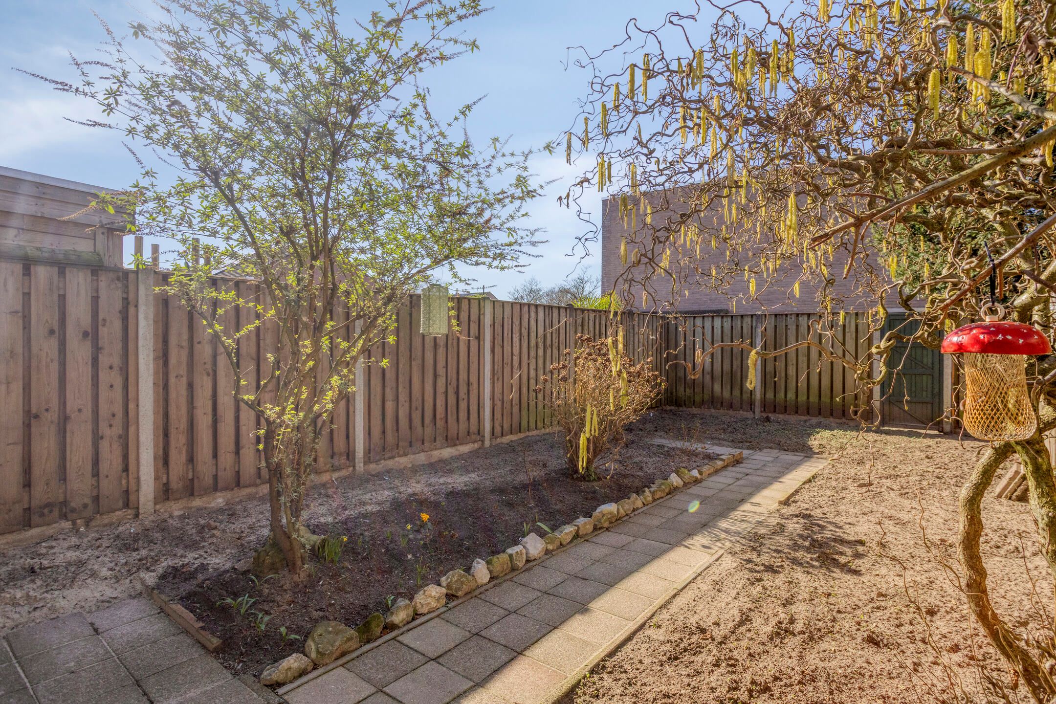 Foto 36 van Rogstraat 9