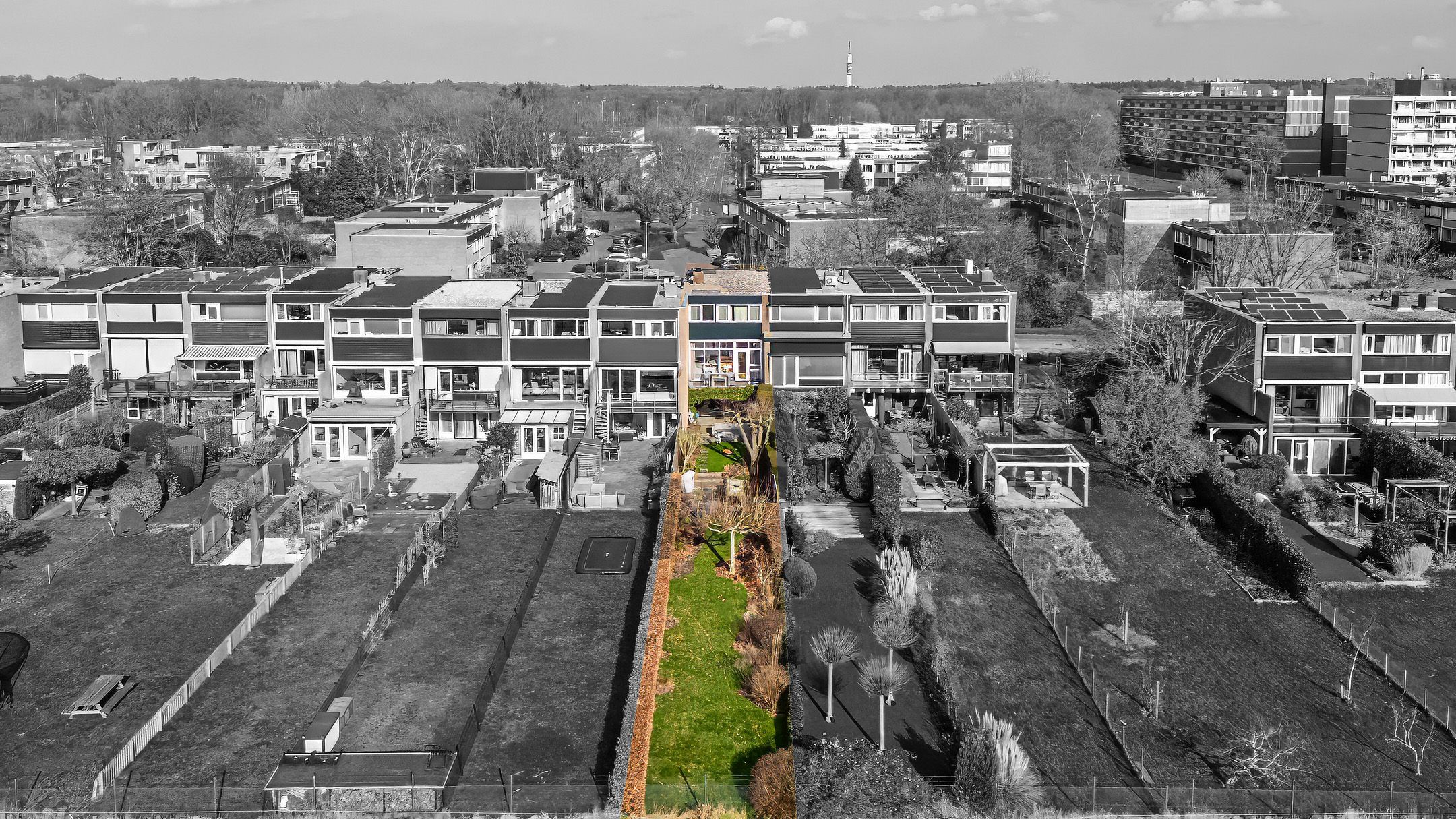 Photo 54 of Willibrorduslaan 39